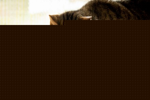 Hond Kat Accessories B.A.R.F. Snacks Voedingssupplementen Vleeskruiden 20g 1 Stuk -5- Anifit